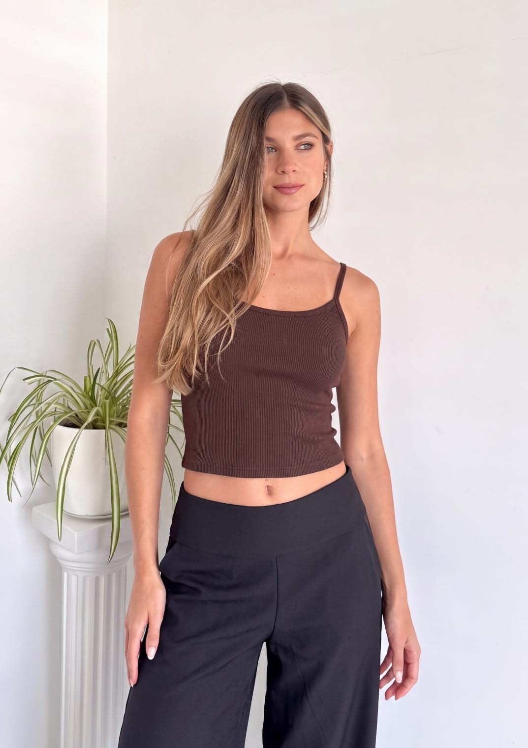 Musculosa de Morley - Imagen 2