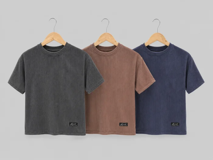 Remera Rayada