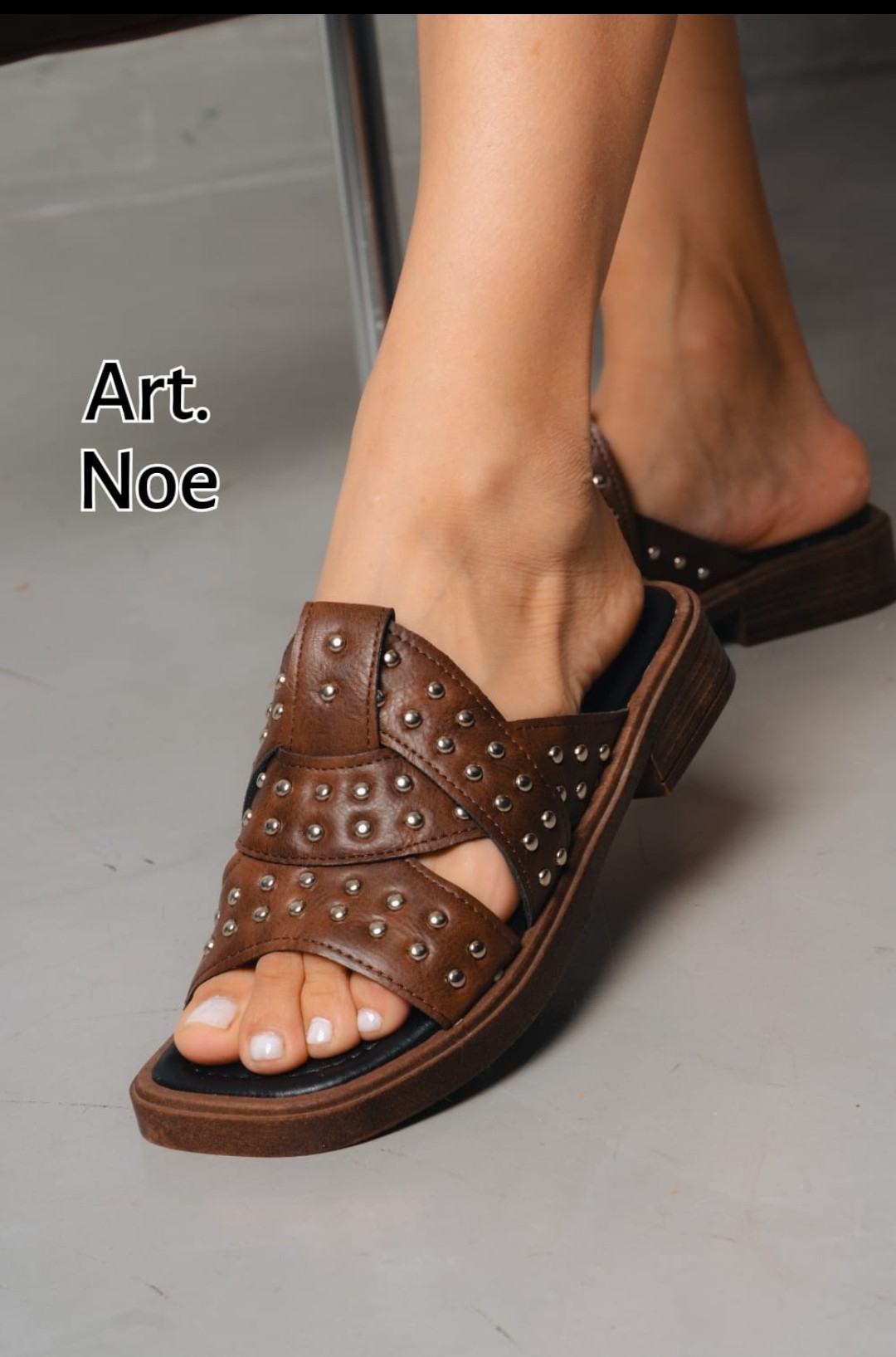 Art. Noé - Imagen 2