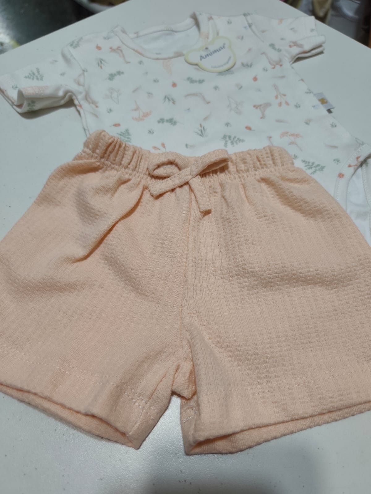 Body + Shorts - Imagen 3