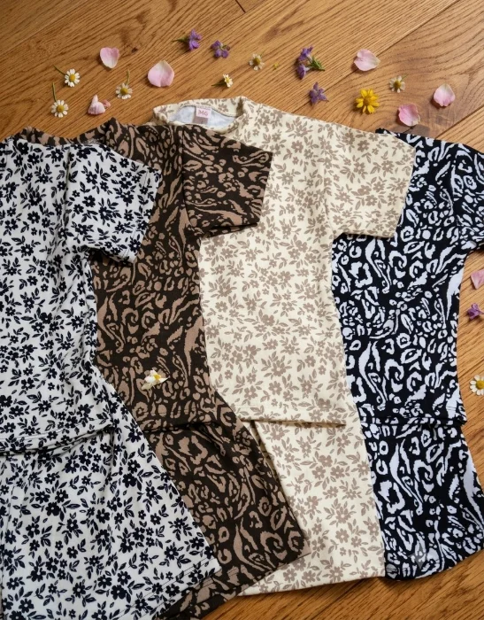 Conjunto