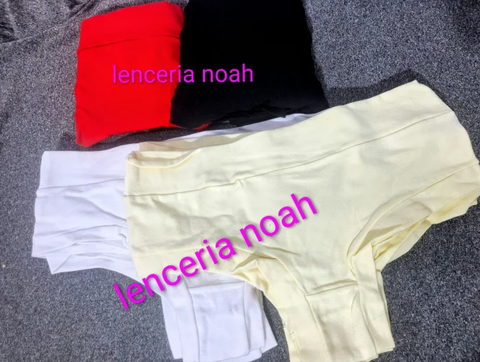Culotte con Faja Art Lucia