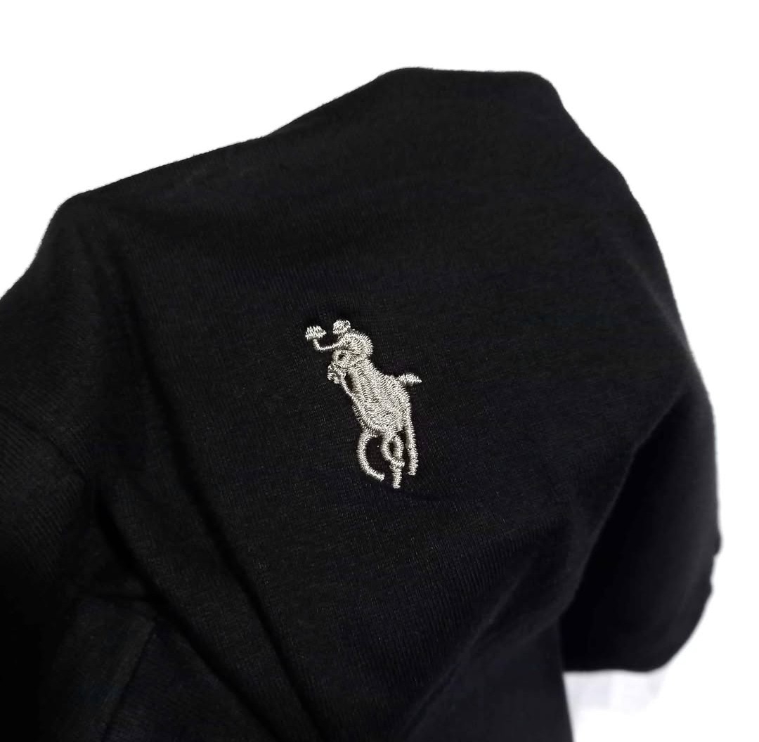 Chombas Polo Especial - Imagen 2