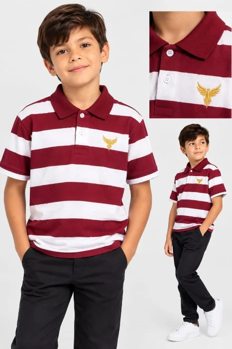 Chomba Rayada Estampado