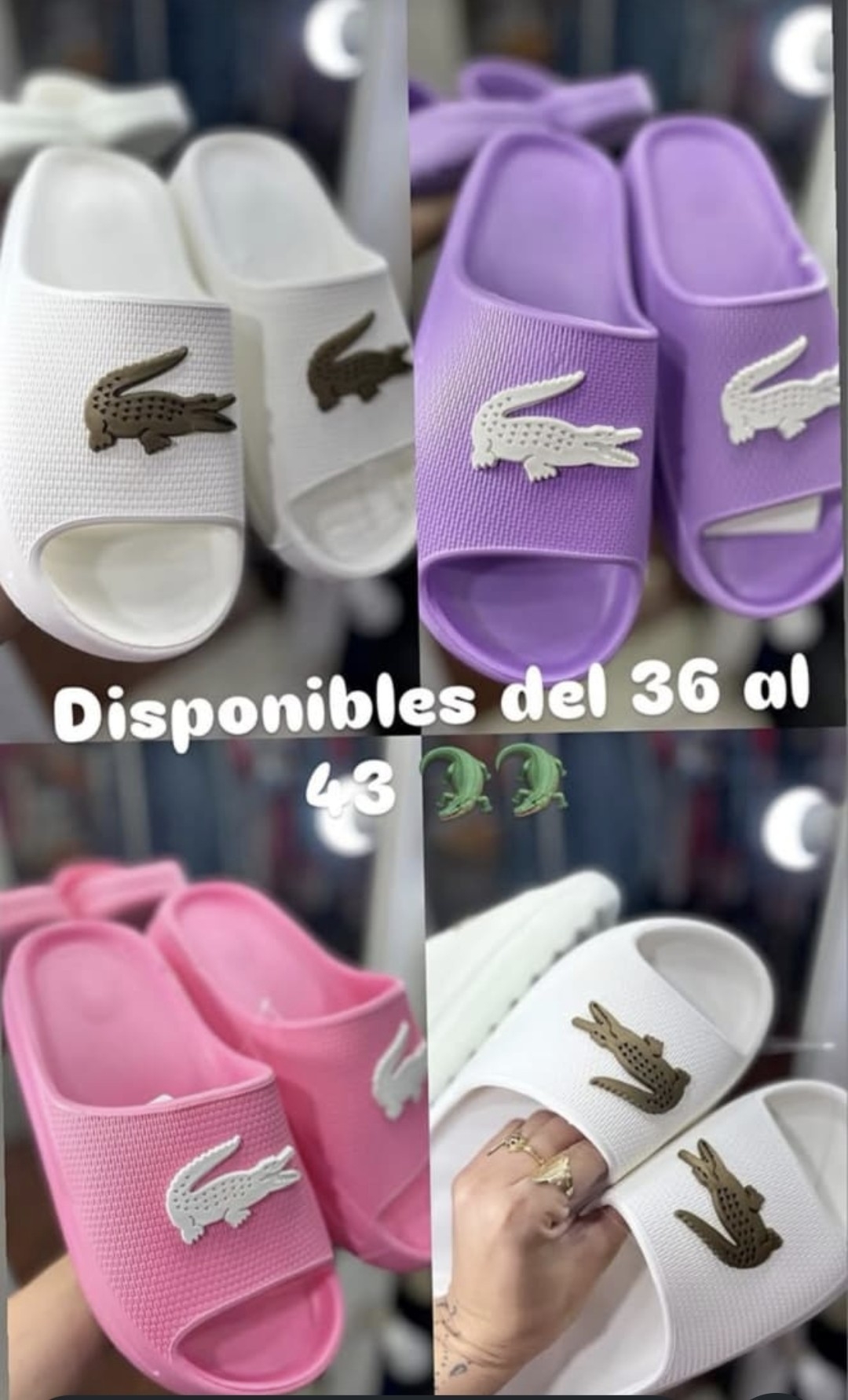 Gomones Lacost Importado - Imagen 4