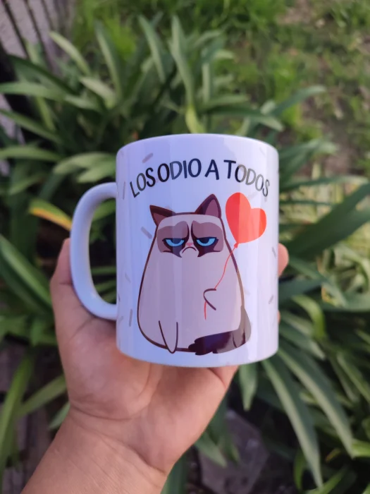 Taza Importada