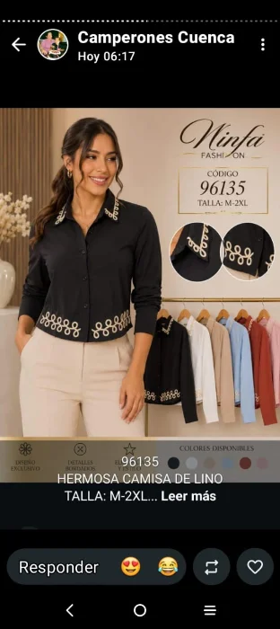 Camisa con Bordado