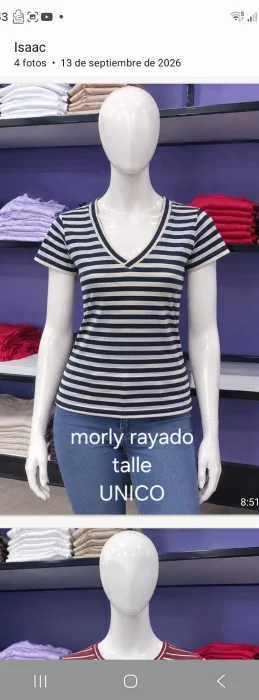 Remera Talle Ùnica Cuell V