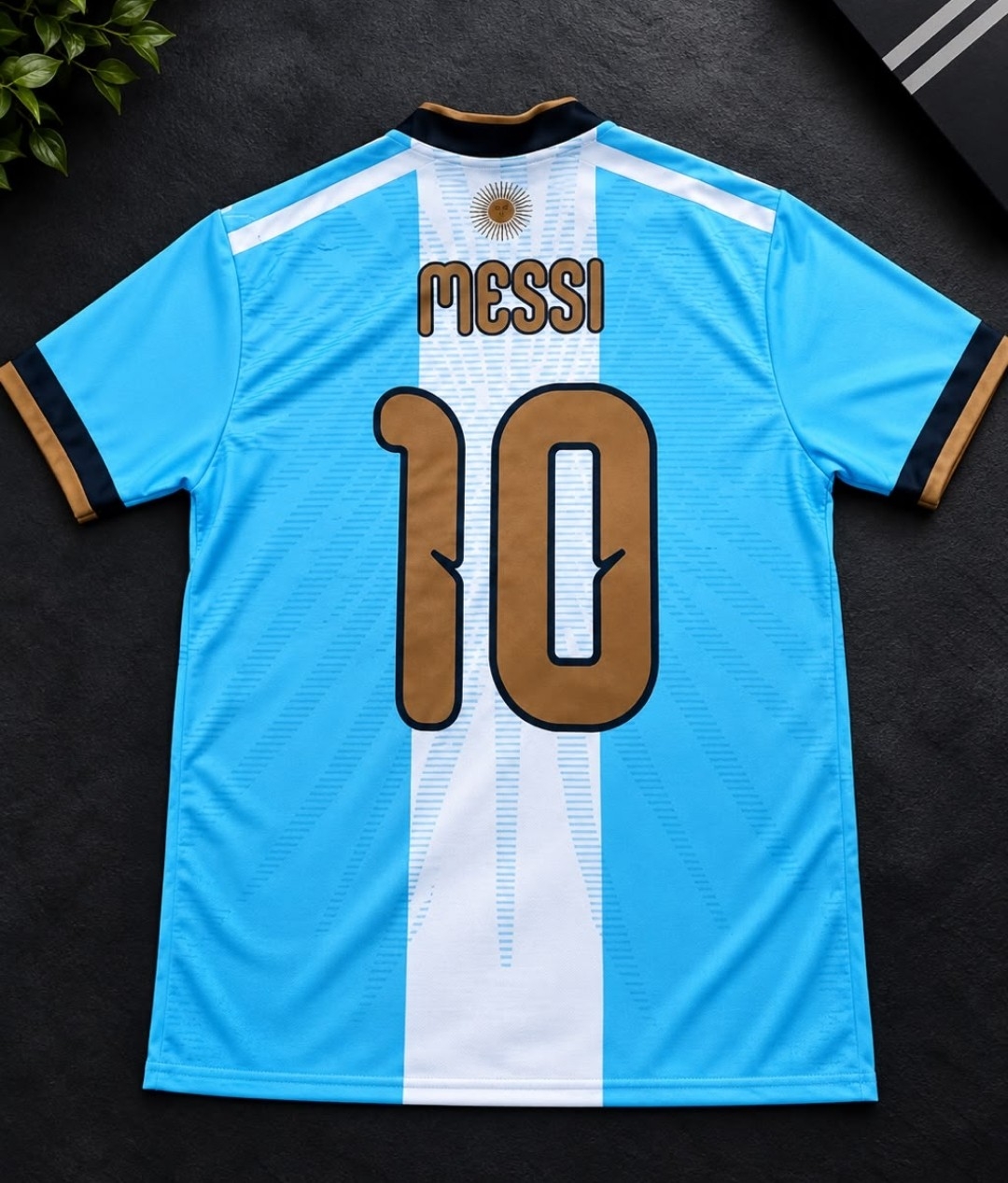 Camiseta Argentina Edición Especial - Imagen 2
