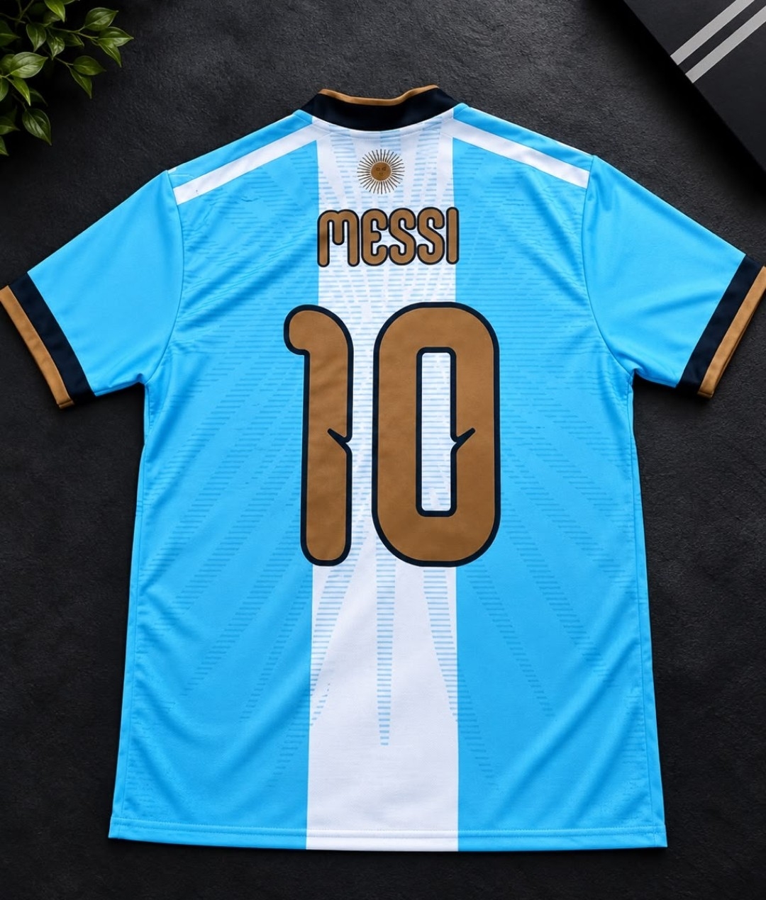 Camisetas Argentina Edición Especial - Imagen 2