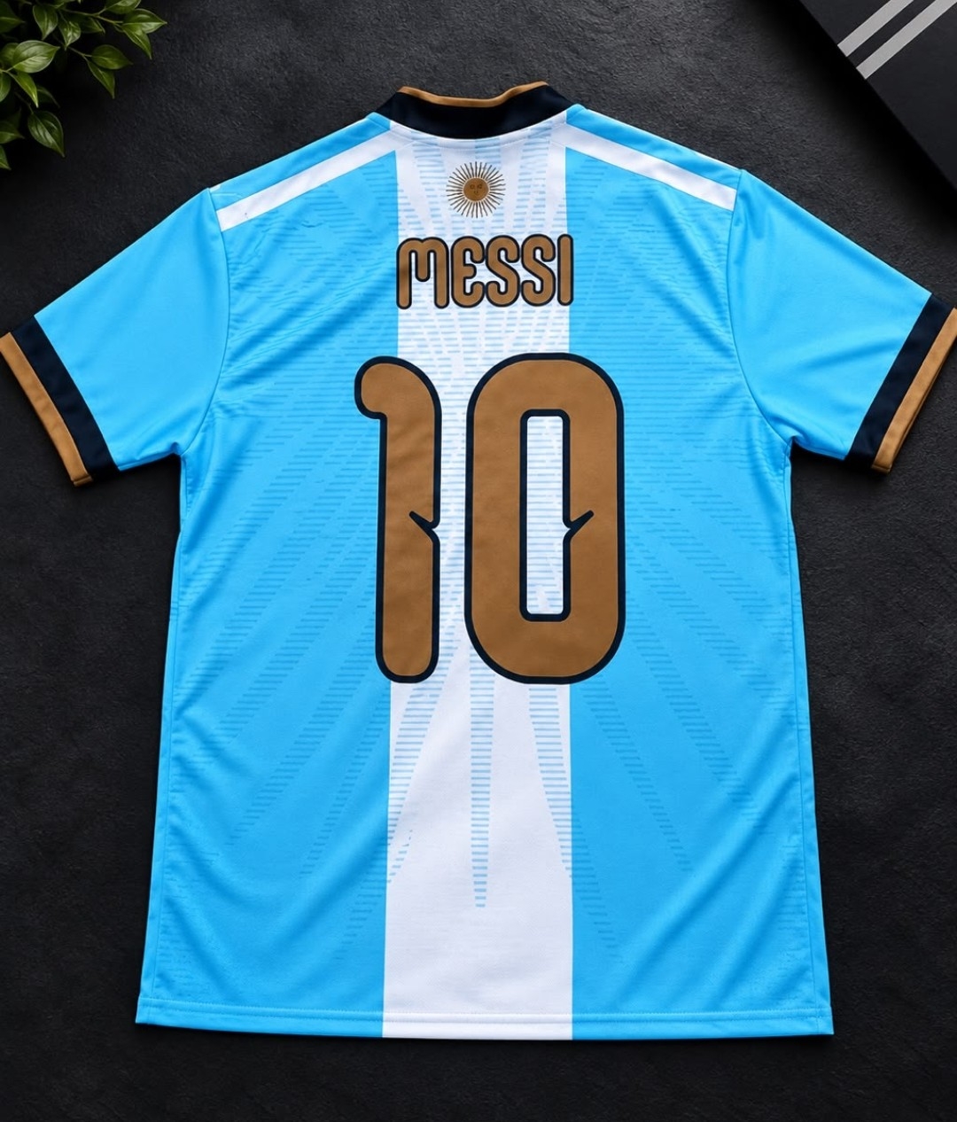 Camisetas Argentina Edición Especial - Imagen 2