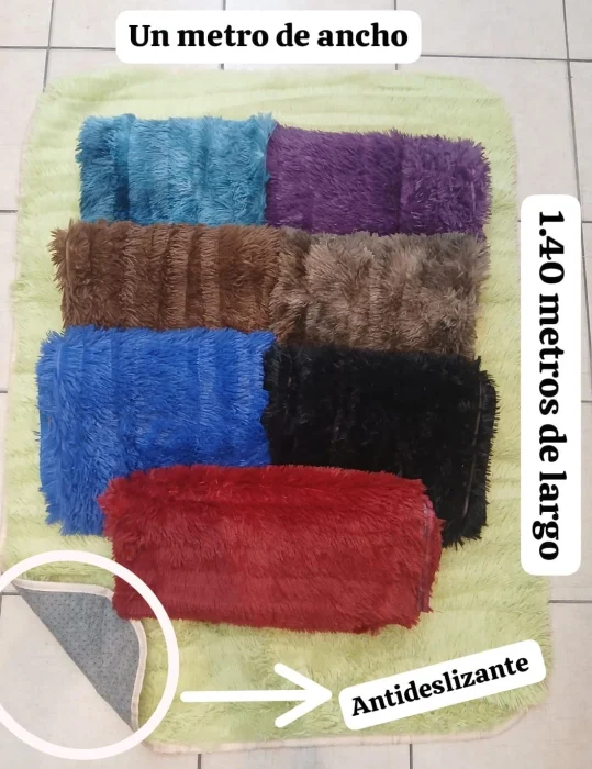 Alfombra Antideslizante Entrada
