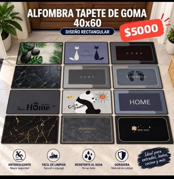Alfombra de Entrada de Casa