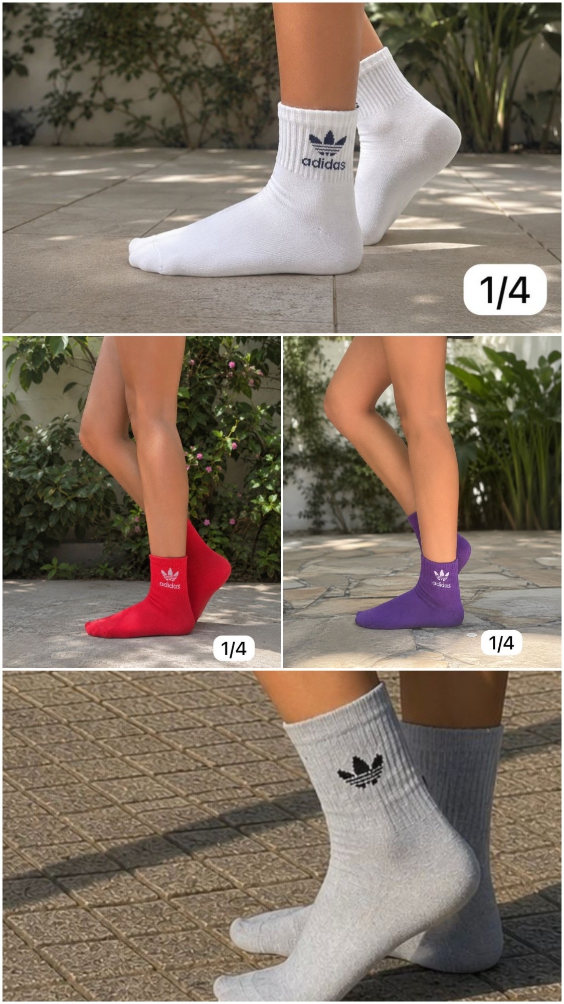 Medias 1/4 Varios Motivos - Imagen 2