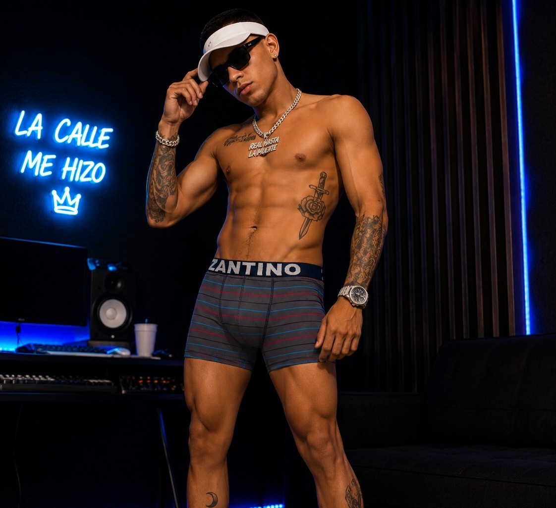 (art: Bxh1) Boxer Zantino Rayado - Imagen 2