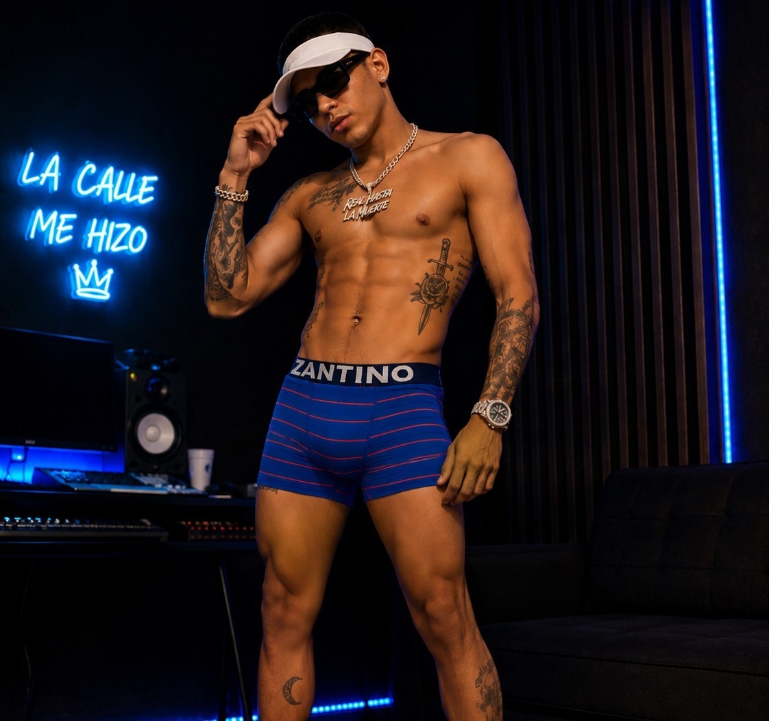 (art: Bxh1) Boxer Zantino Rayado - Imagen 3