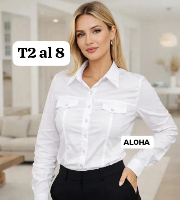 Camisa de Poplin