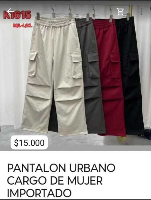 Pantalón Dama Importado