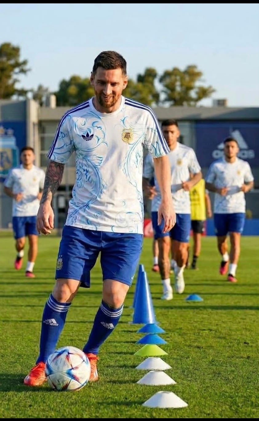 Remera Afa Prematch Entrenamiento. - Imagen 5