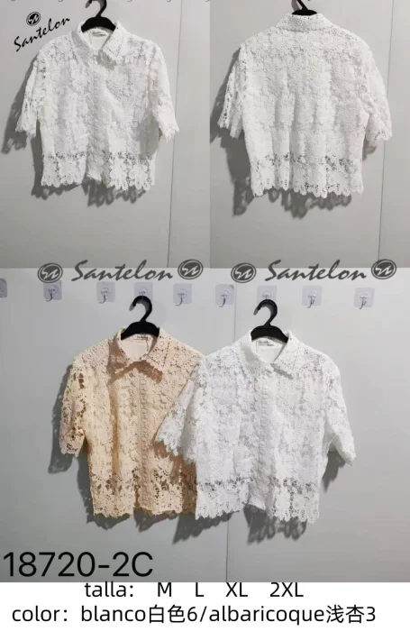 Camisa