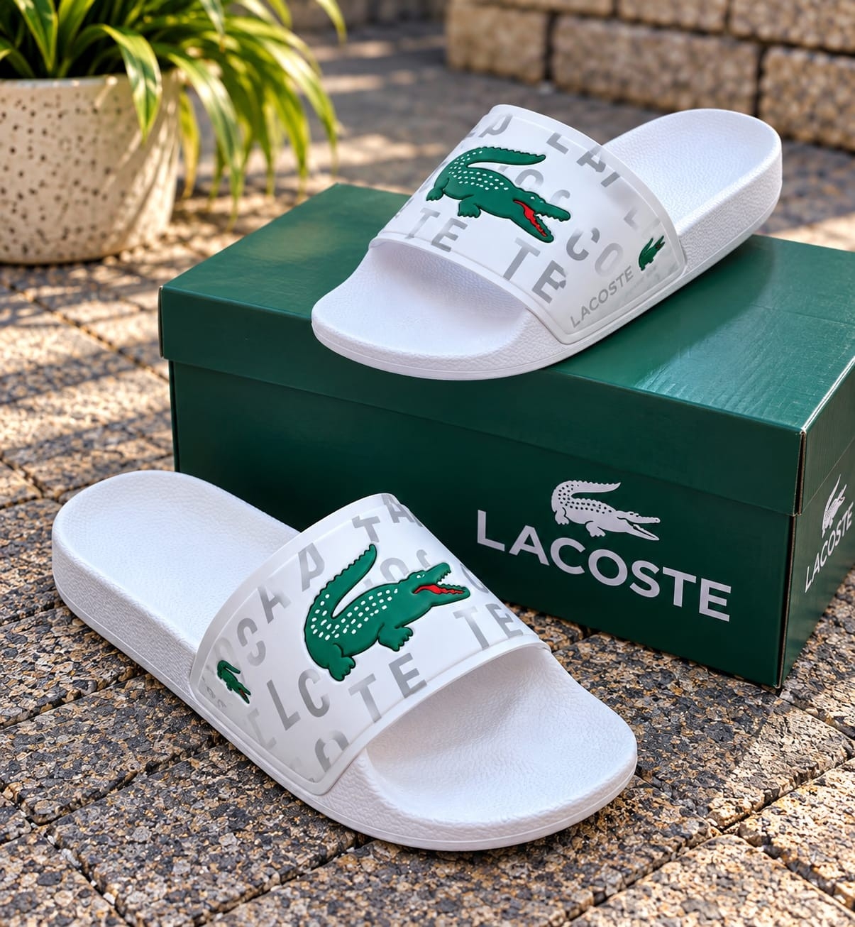 Art Ojota Lacoste - Imagen 2