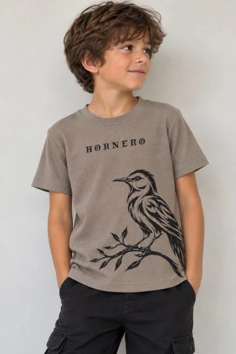 Remera Estampada