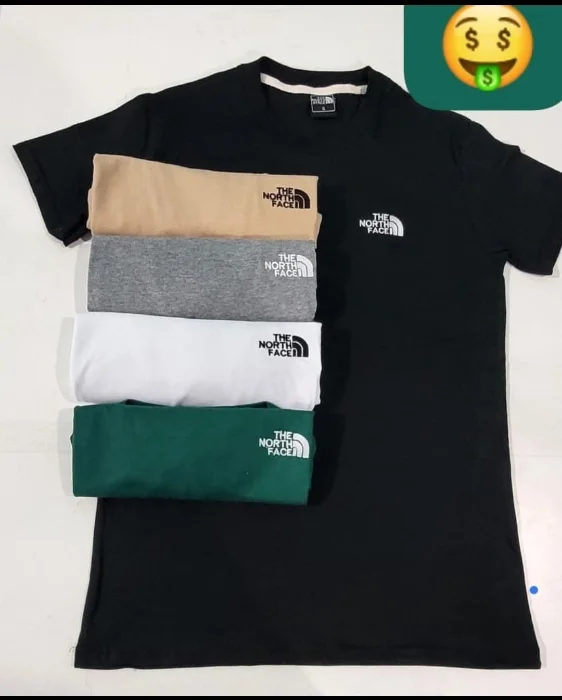 Remera North Face Adulto