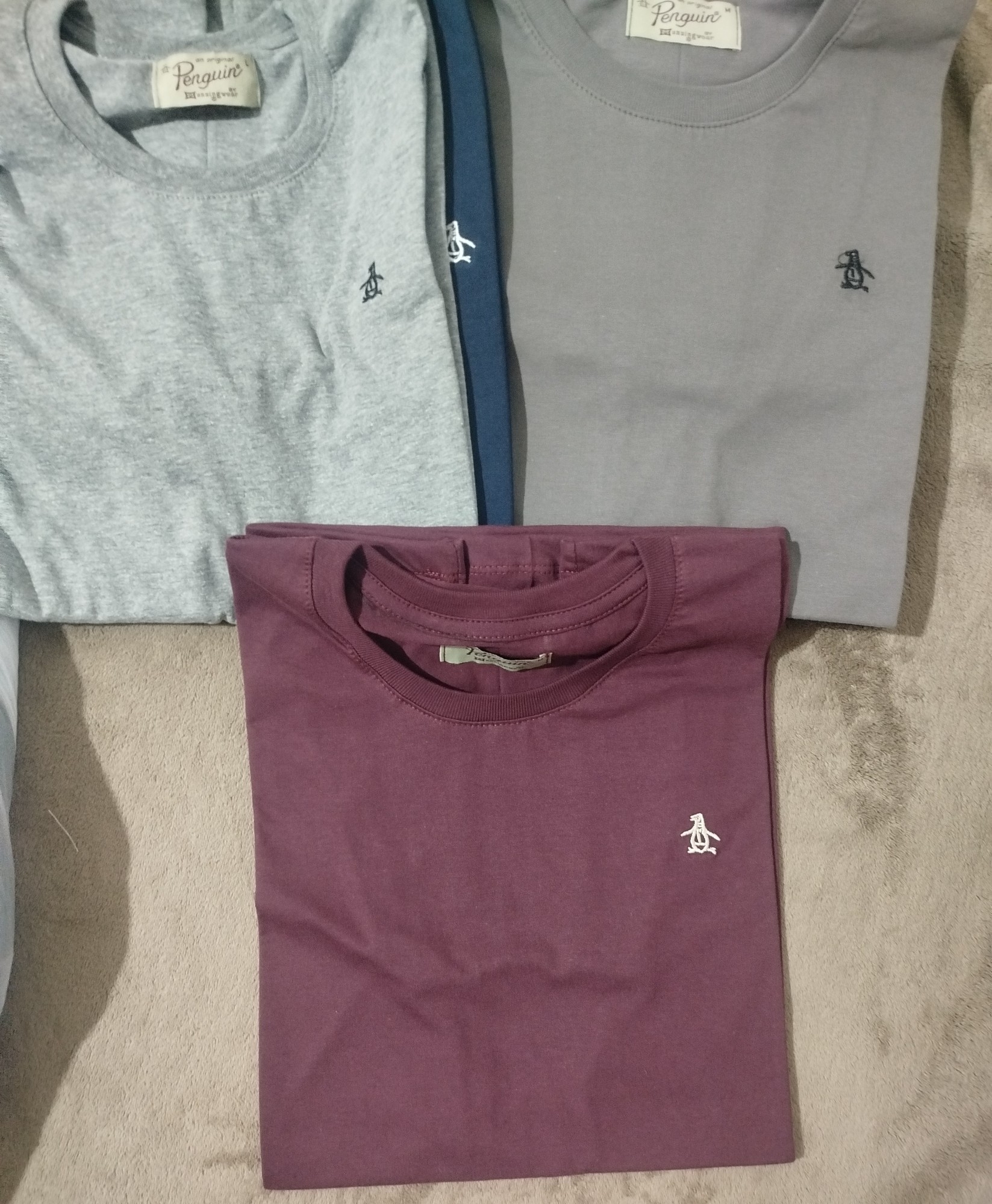 Remera Algodón Pingue - Imagen 2