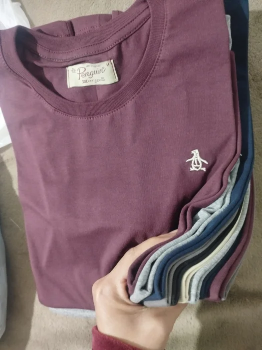 Remera Algodón Pingue