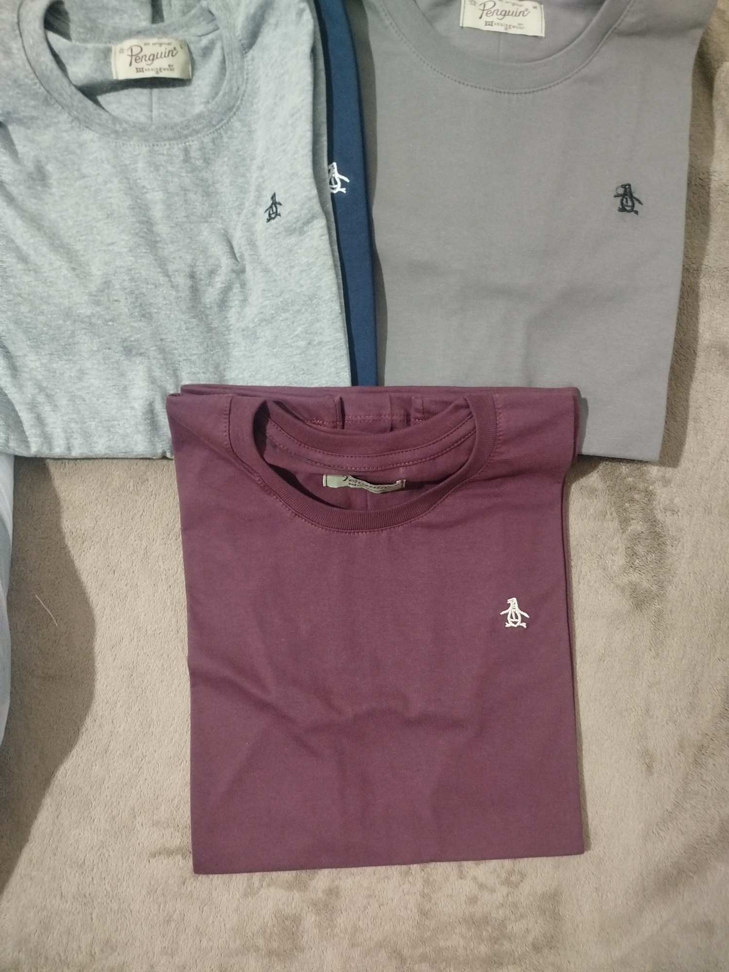 Remera Algodón Pingue - Imagen 2