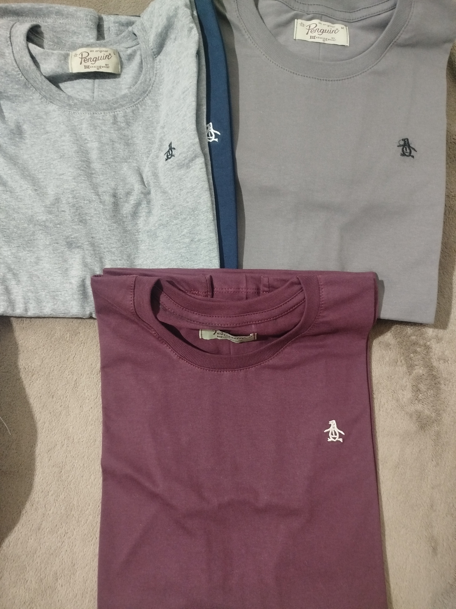 Remera Algodón Pingue - Imagen 3