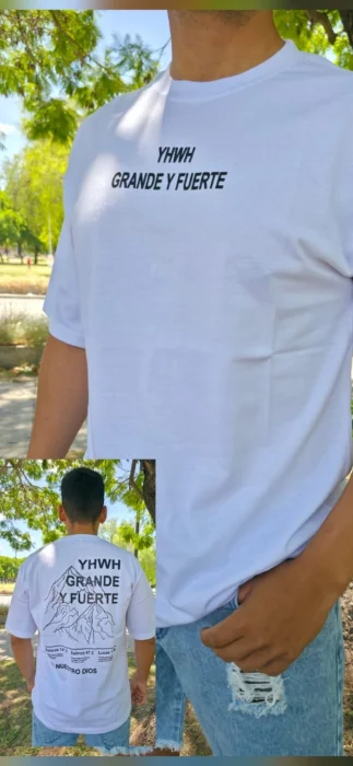 Remeras Overzice Estampadas