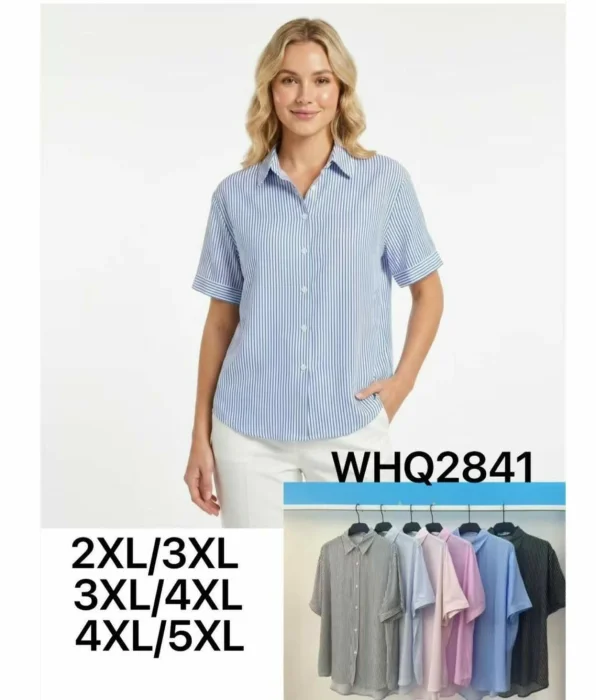 Camisa Rayadas