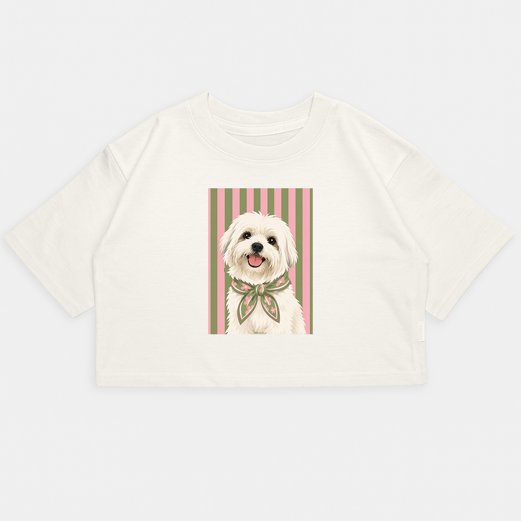 Nena-crop Kim Perro Maltes Rayas - 15.png