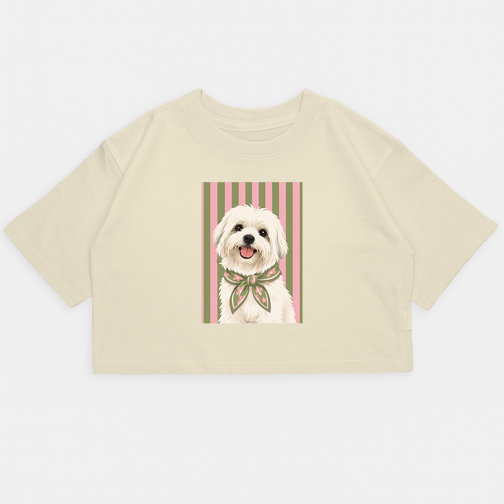 Nena-crop Kim Perro Maltes Rayas - 19.png