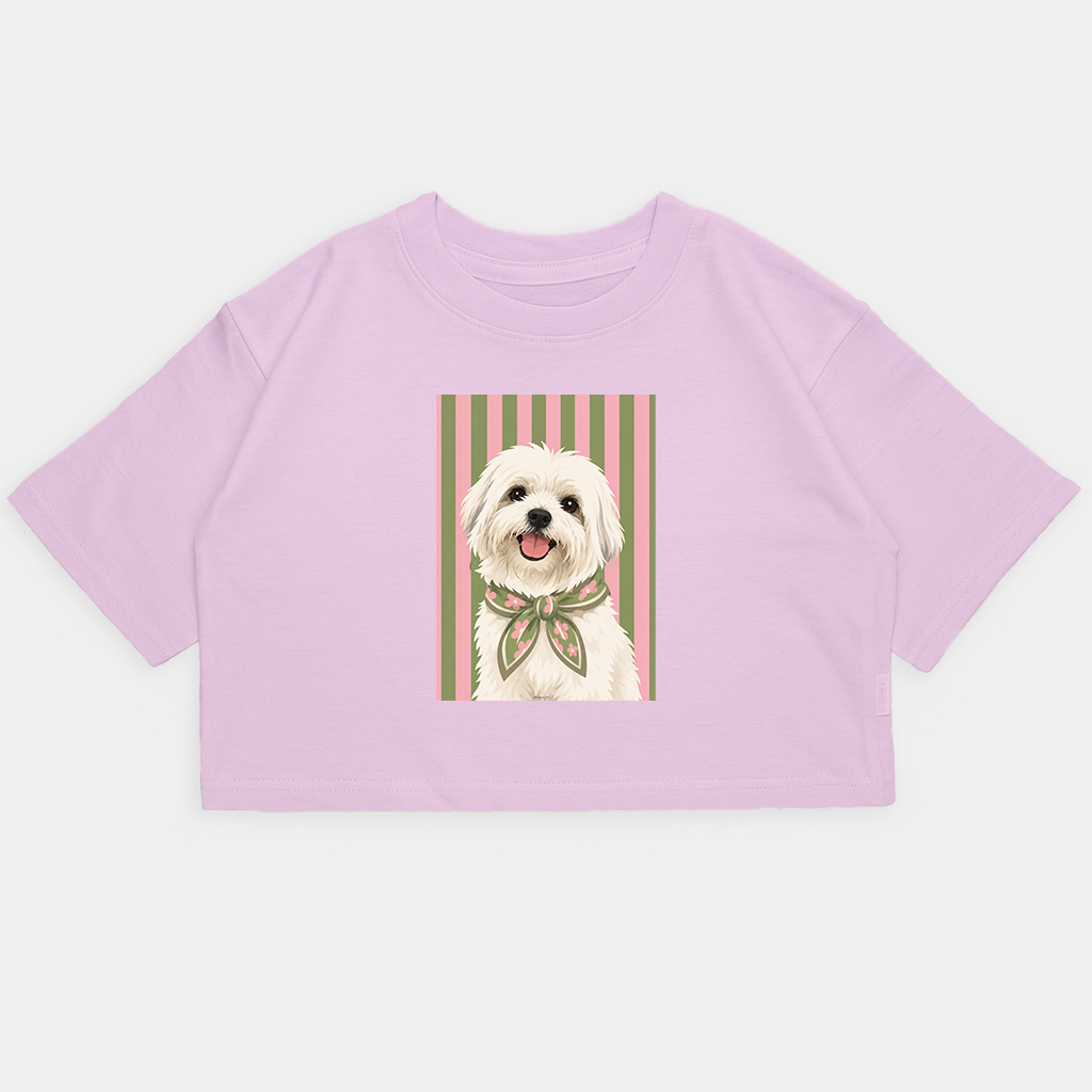 Nena-crop Kim Perro Maltes Rayas - 13.png