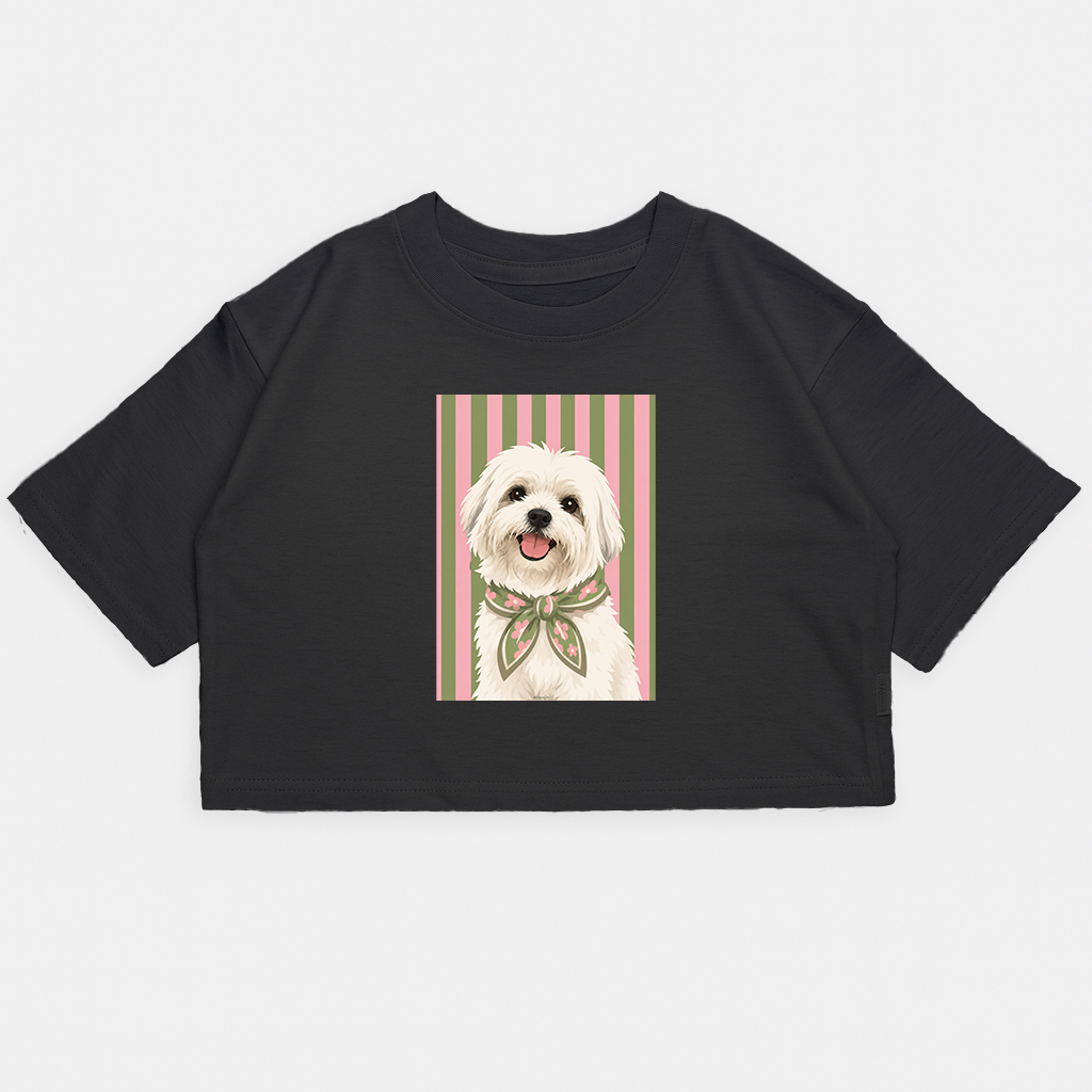 Nena-crop Kim Perro Maltes Rayas - 14.png