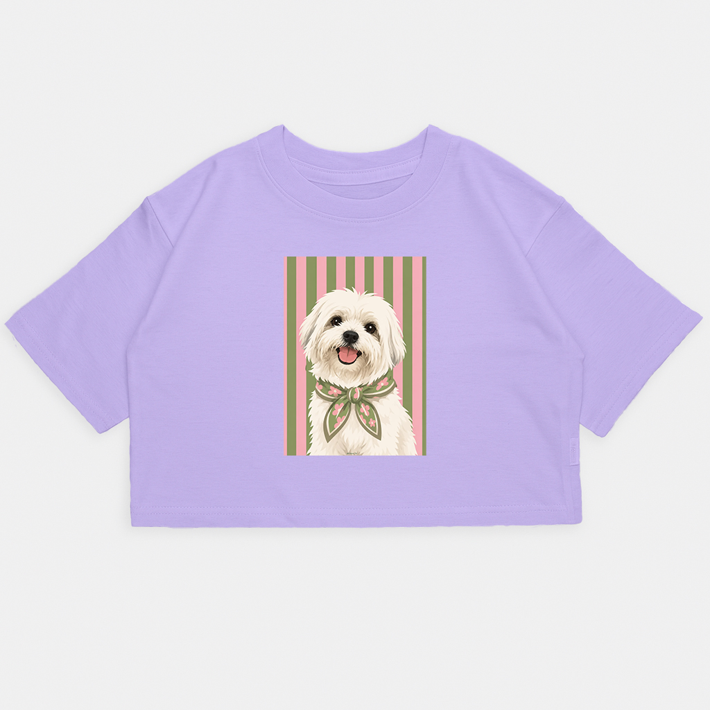 Nena-crop Kim Perro Maltes Rayas - 16.png