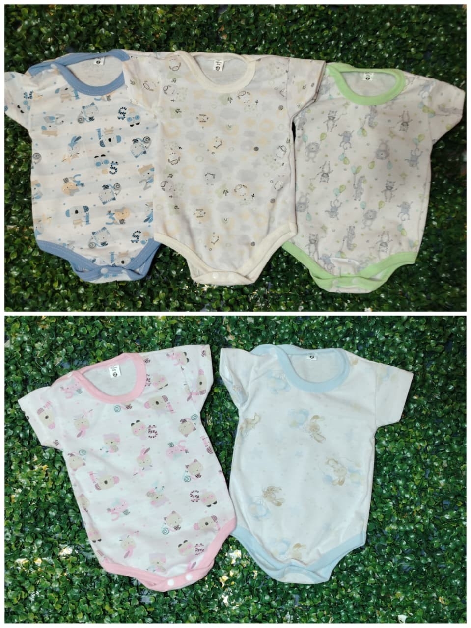 Bodys Estampados - Imagen 2