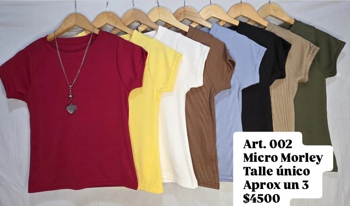 Remera - Imagen 2