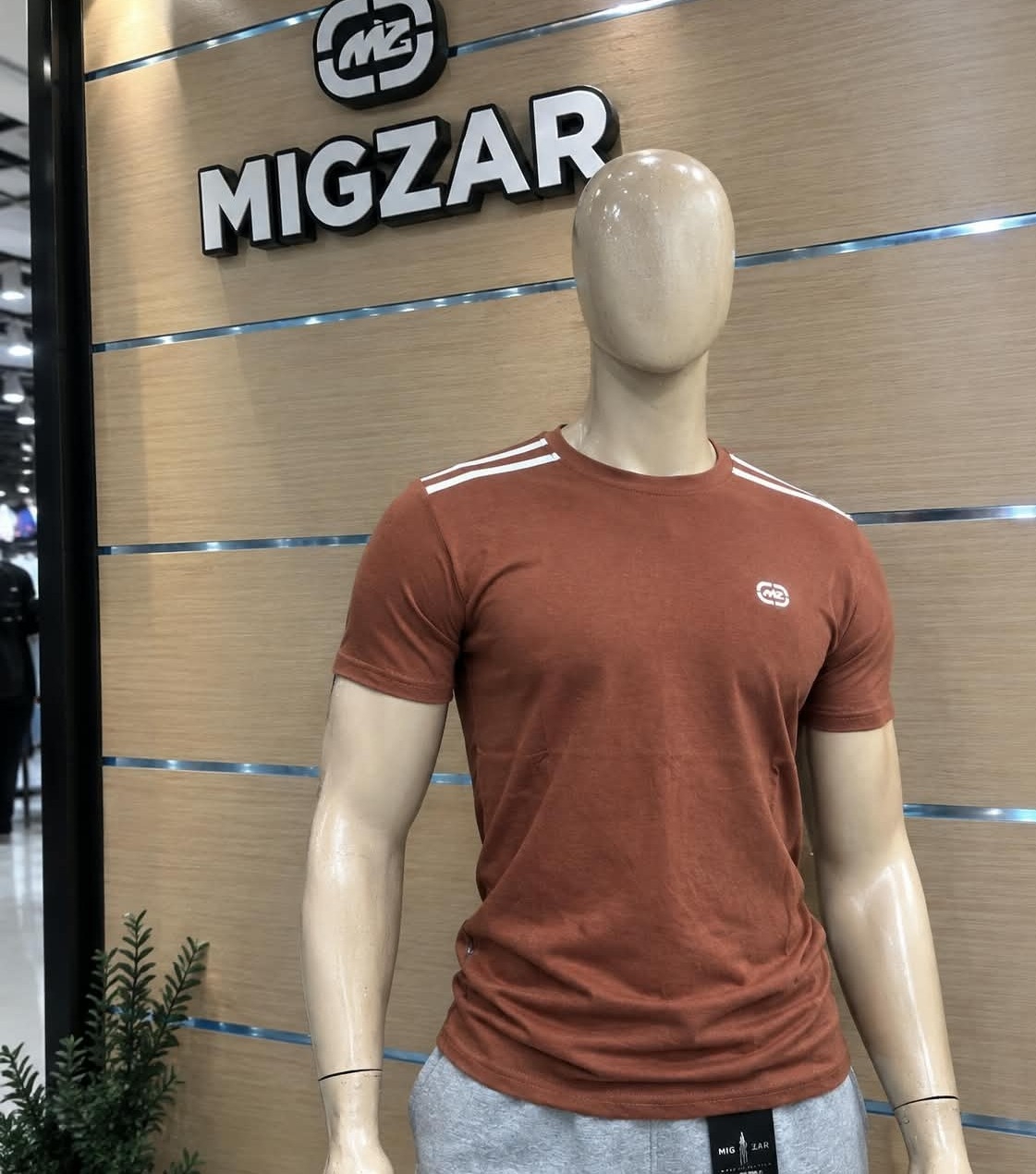 Remera Golden - Imagen 2