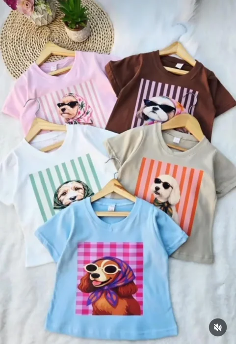 Remeras de Algodón Peinado
