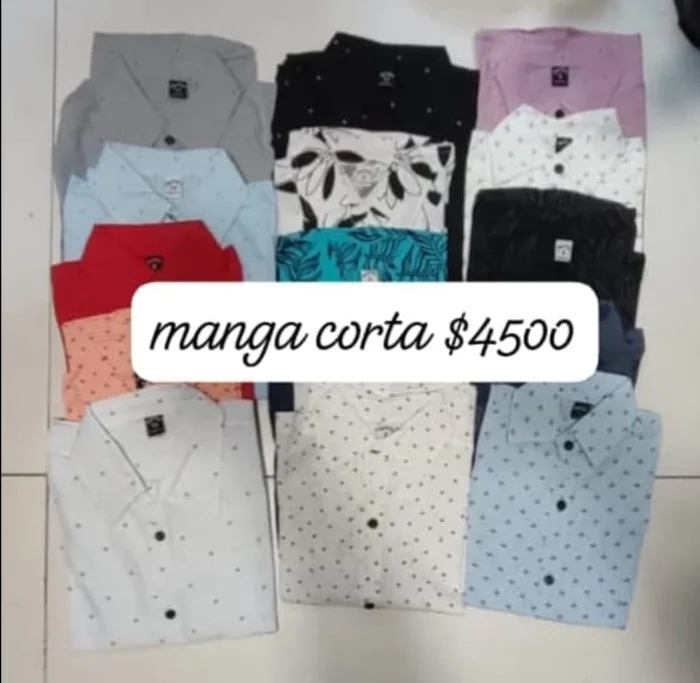 Camisas Manga Corta