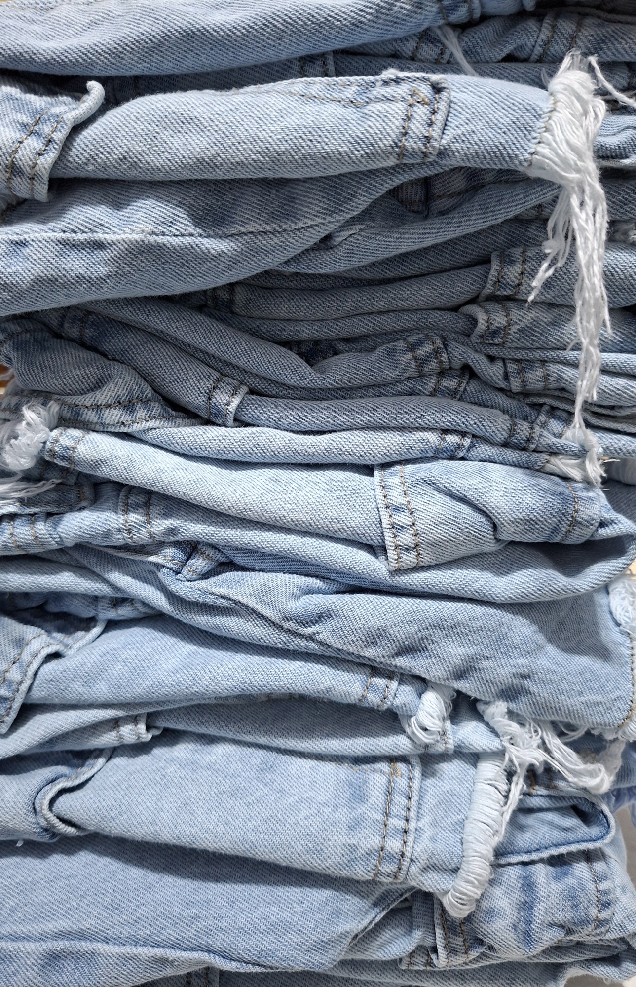 Short Cargo Rigido - Imagen 3