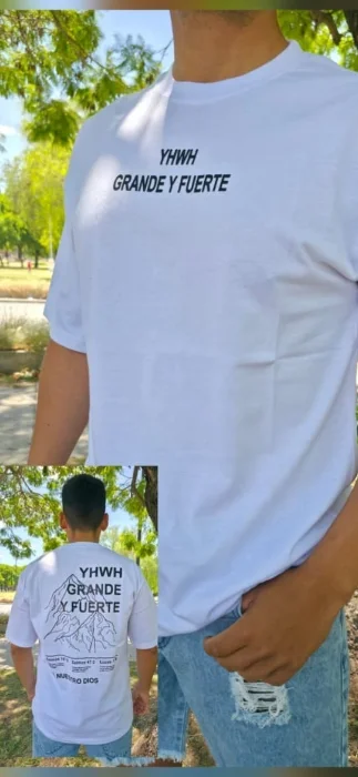 Remeras Overcize Estampadas 24/1