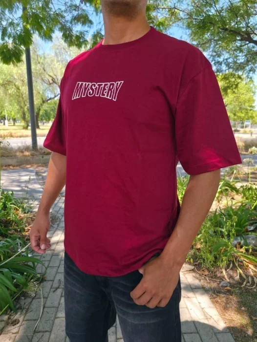 Remeras Overcize Estampadas 24/1
