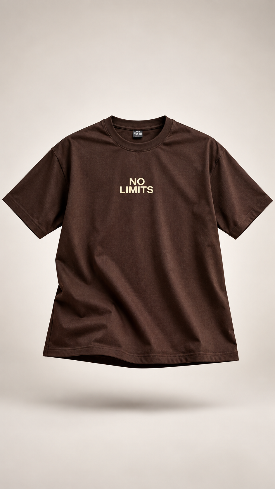 Remera Oversize Pesada - AE2E3426-8511-4B5E-8D98-577AD2240C62.png