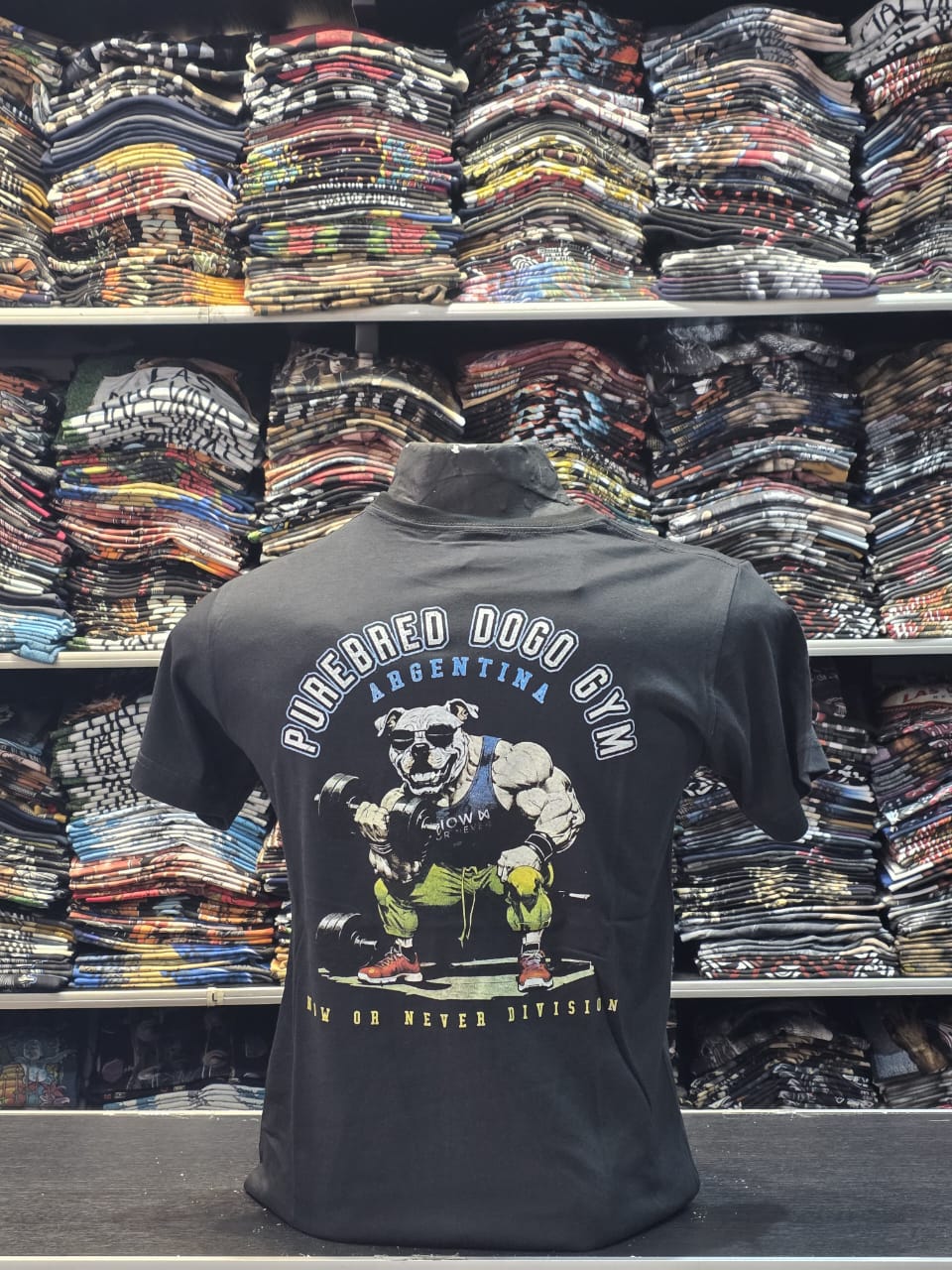 Remeras de Rugby - WhatsApp%20Image%202026-09-18%20at%2014.18.09%20(1).jpeg