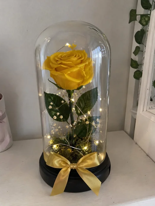 Flores Eternas para Reglar