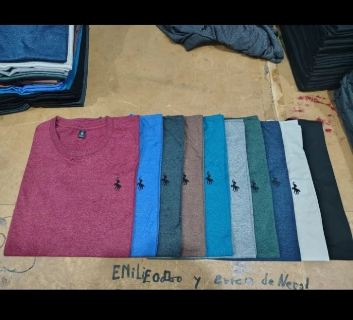 Remeras Polo Especial